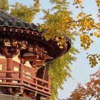 鱼油返腥不一定是产品问题：我的三类挑选思路