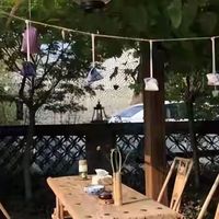 干海参选购的四个关键判断（附等级与检测数字怎么看）