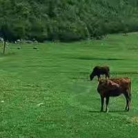 日常补充营养选蛋白粉，普通成人和老人怎么区别