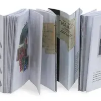 358元的《夜》卖到断货：诺奖给了76岁的安妮·卡森，她写的是没填上的空白