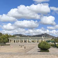 双 11 别乱买！这 3 款“新品”才是真香，实测后我劝你理性种草