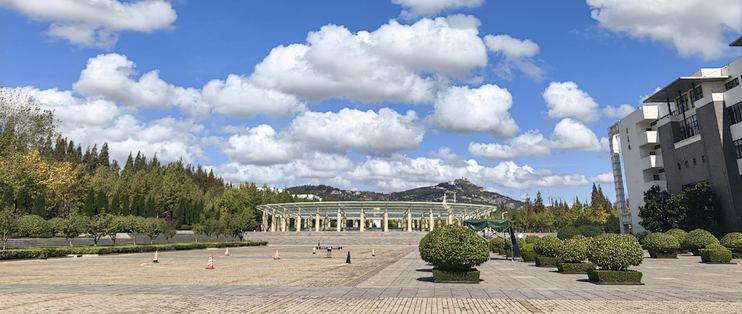 双 11 别乱买！这 3 款“新品”才是真香，实测后我劝你理性种草