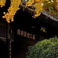 八款鱼油横比：含量、剂型、粒重和包装怎么看