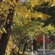 不放秋假不算违规，高中幼儿园不一定同步执行