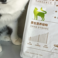 告别频繁清理下巴的烦恼！实测麦富迪原生鲜肉猫粮后的真实改变