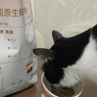 挑食瘦弱小猫终于长肉了！麦富迪原生鲜肉猫粮的喂养感受