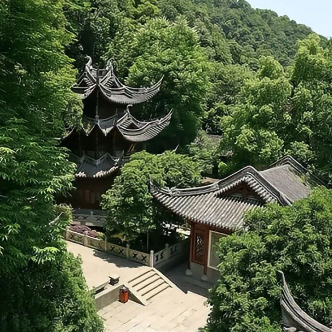 寻香 | 哄自己开心上班的一点“芳”法