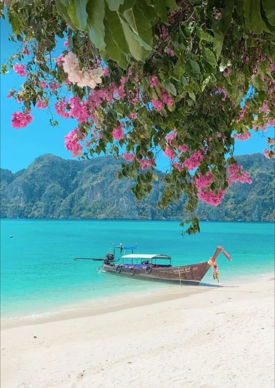 寻香 | 哄自己开心上班的一点“芳”法