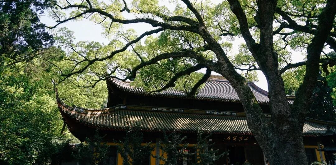 寻香 | 哄自己开心上班的一点“芳”法