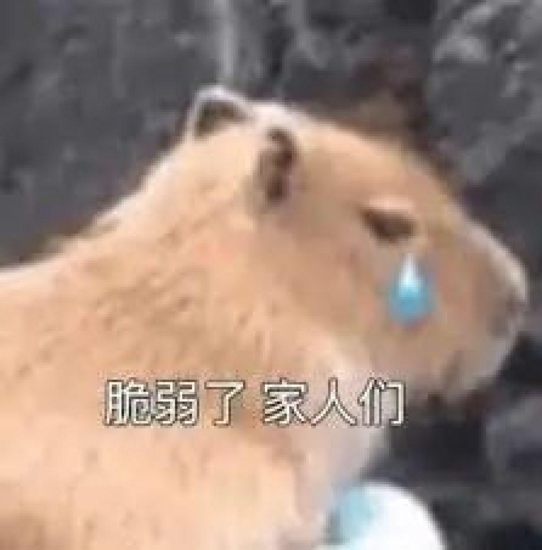 寻香 | 便宜没好货?天哪被这几支香水啪啪打脸!