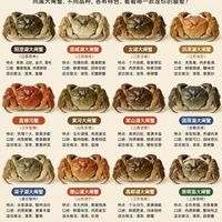 蟹季攻略｜各地大闸蟹风味对比，不踩坑