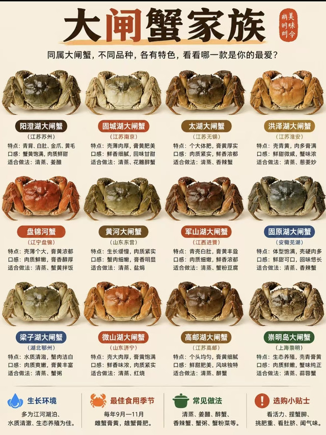 蟹季攻略｜各地大闸蟹风味对比，不踩坑