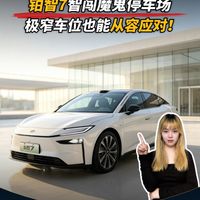 铂智7智闯魔鬼停车场，极窄车位也能稳稳停
