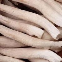 鹿茸菇里的乡愁与外婆温情