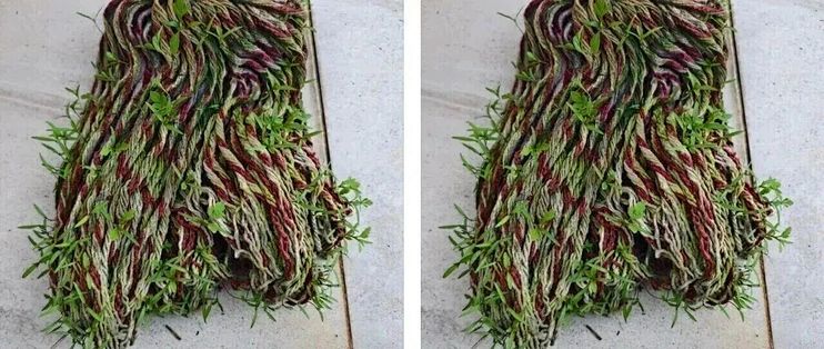 拖把越洗越臭不怪质量：味是没干透沤的，小苏打白醋还帮了倒忙