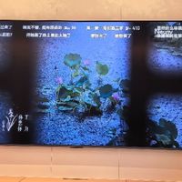 海信RGB-MiniLED电视E7S 100吋 5940分区玲珑真彩背光 客厅王者