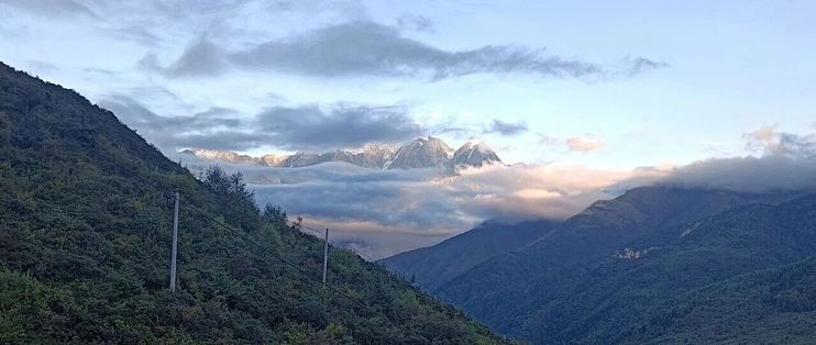耙耙柑脱酸剂是砷，19人获刑：你追的“又早又纯甜”正是黑产动力