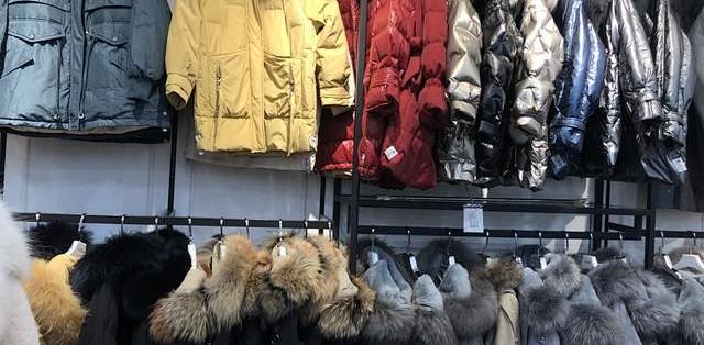 蓬松度 800 不一定更暖：今年买羽绒服先看的不是它