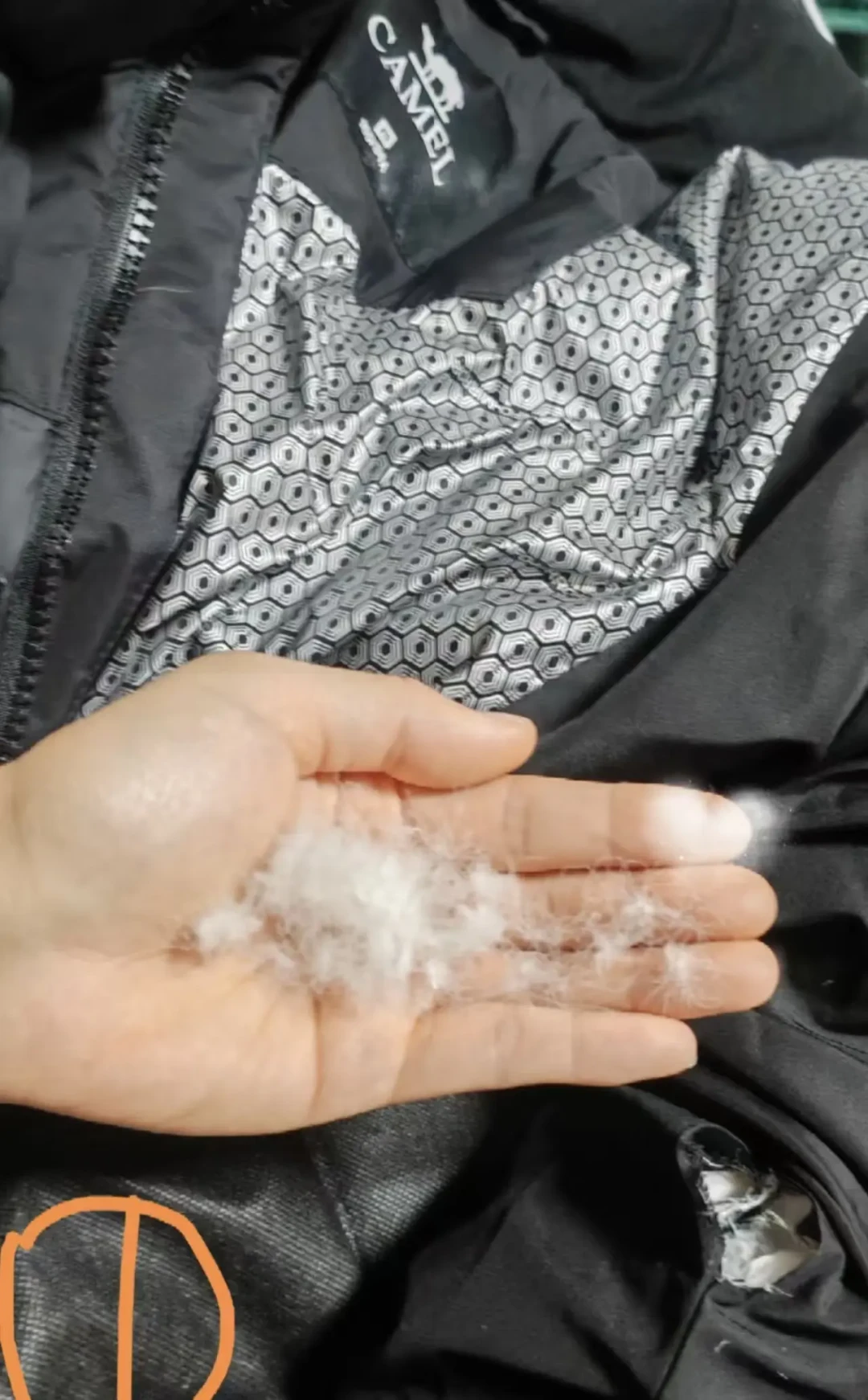 蓬松度 800 不一定更暖:今年买羽绒服先看的不是它