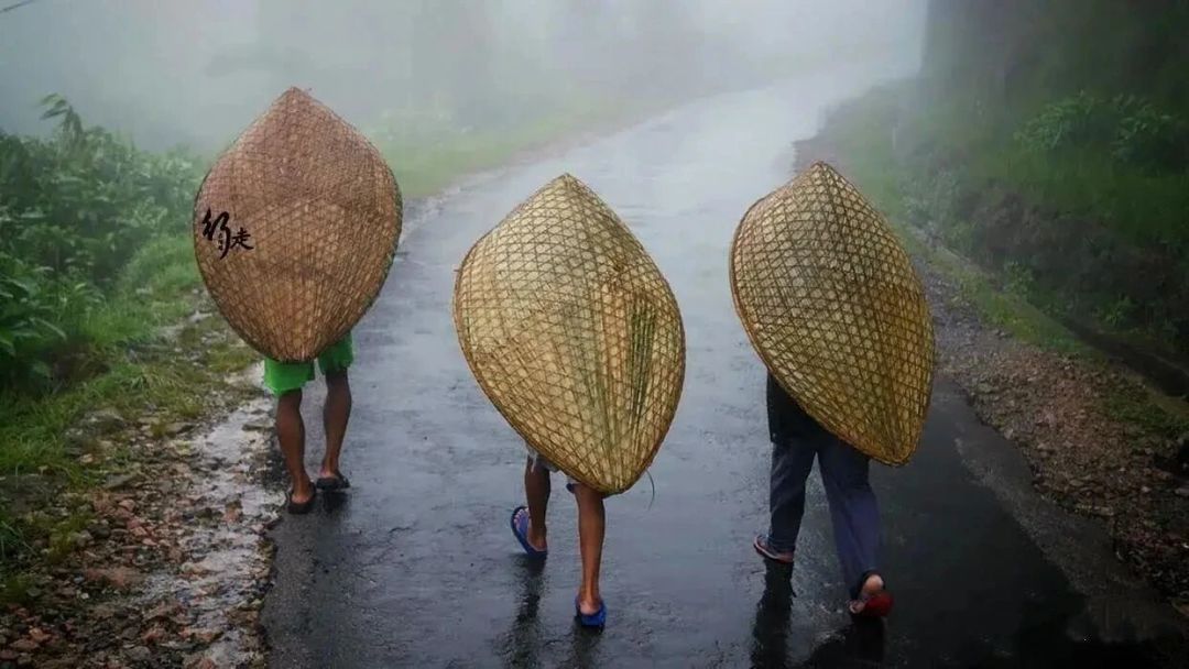 在"世界雨极",一座桥要长30年,然后站500年