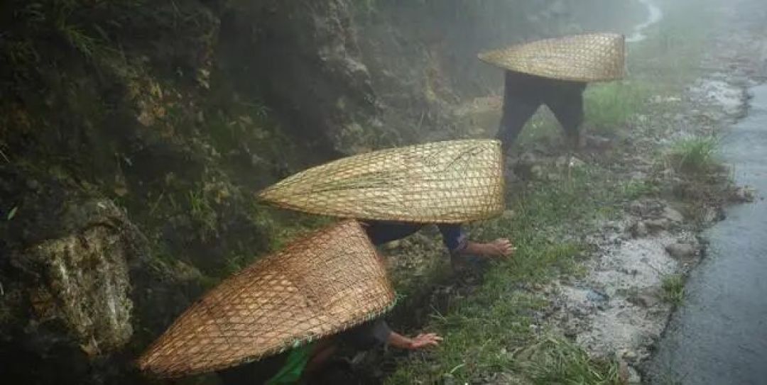 在"世界雨极",一座桥要长30年,然后站500年