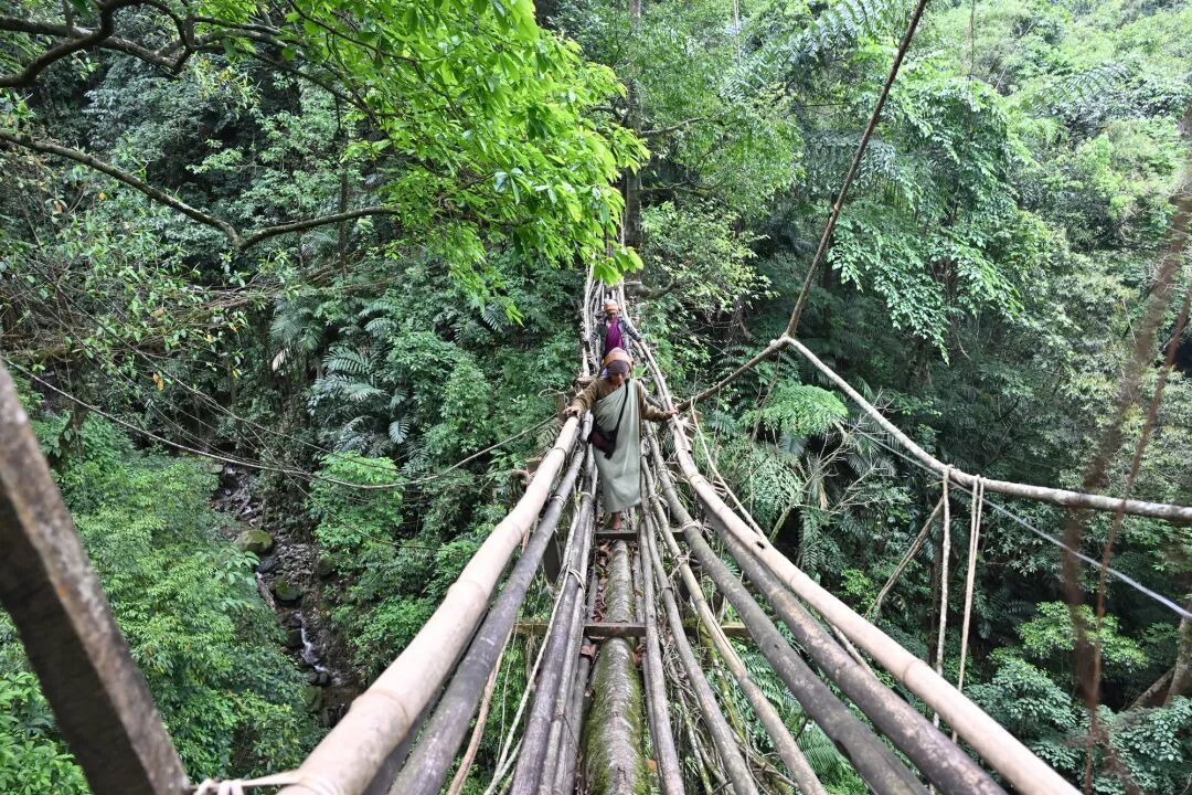 在"世界雨极",一座桥要长30年,然后站500年