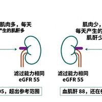 「一勺十块钱」撞上「肾喝成70岁」：双11蛋白粉囤货党，付定金前先把价梯、虚标、渠道、肾脏这四本账对完
