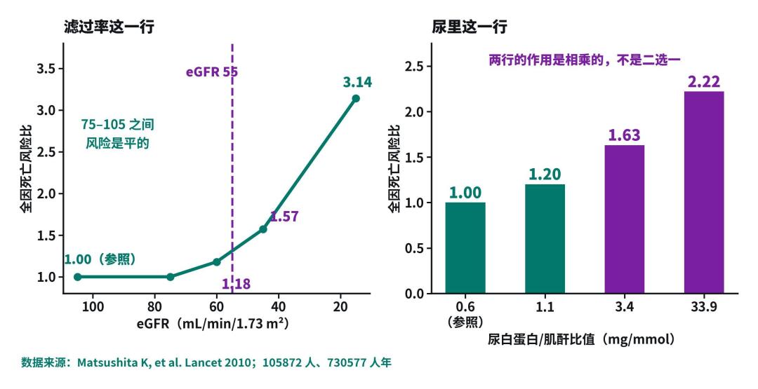 「一勺十块钱」撞上「肾喝成70岁」:双11蛋白粉囤货党,付定金前先把价梯、虚标、渠道、肾脏这四本账对完
