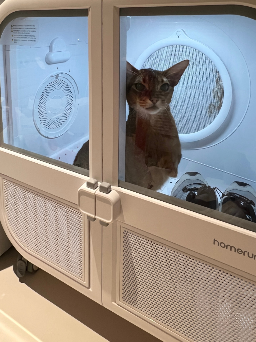 宠物店员工手指被猫咬穿：猫不是脾气差，是退路被堵死了