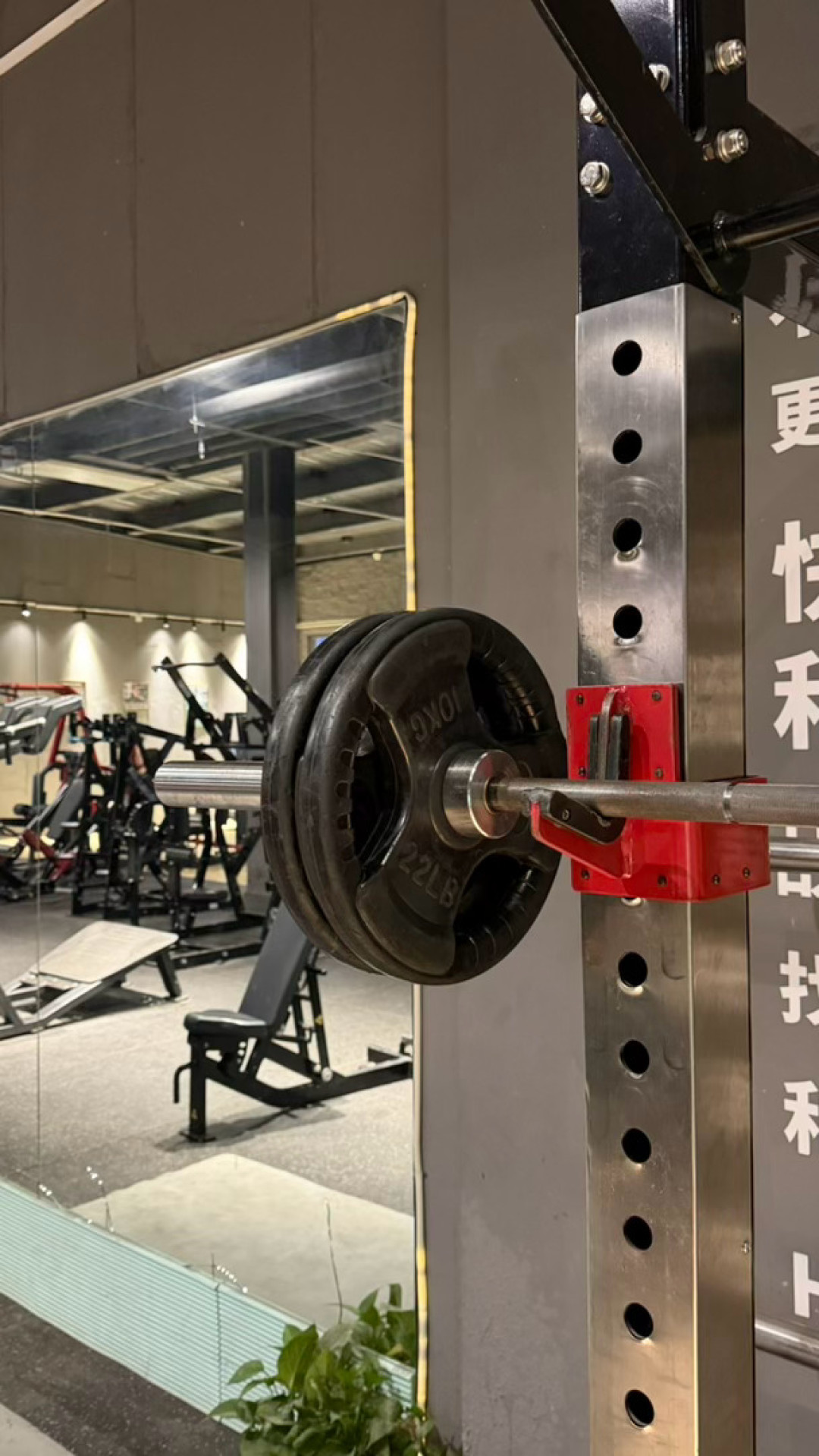 体重104到110、肩背变宽:健身后“变壮”,先分清肿、胖和真壮