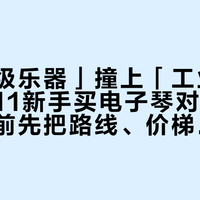 「作弊级乐器」撞上「工业垃圾」：双11新手买电子琴对账党，付尾款前先把路线、价梯、折旧这三本账对完
