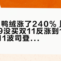 「90白鸭绒涨了240%」撞上「1039没买双11反涨到1073」：双11波司登等不等对账党，付尾款前先把绒价、价梯、年款、绒种四本账对完