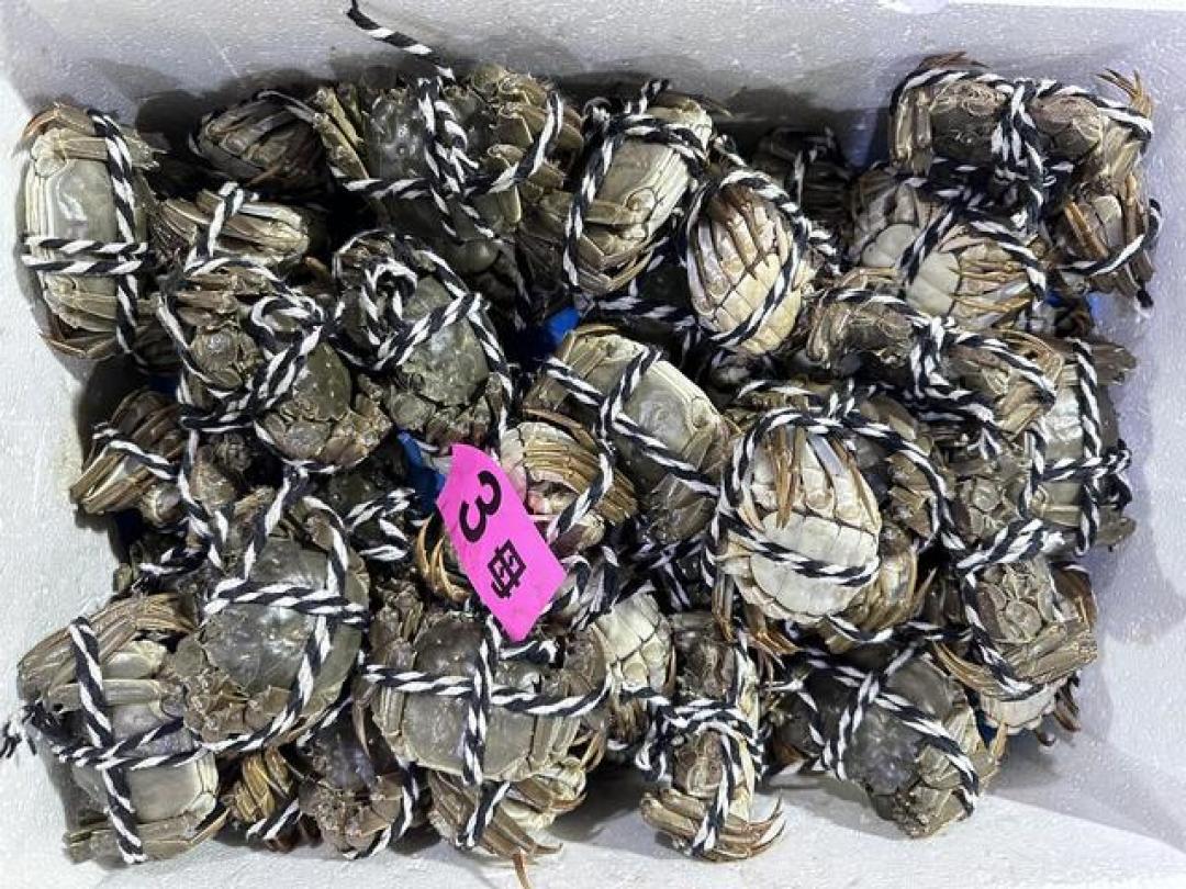 大闸蟹全线崩盘？5元一只的是真的，精品蟹一分没跌