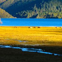 “秋日漫游山野”登上热榜：最佳观赏期正当时，一场进山漫游怎么安排才划算？