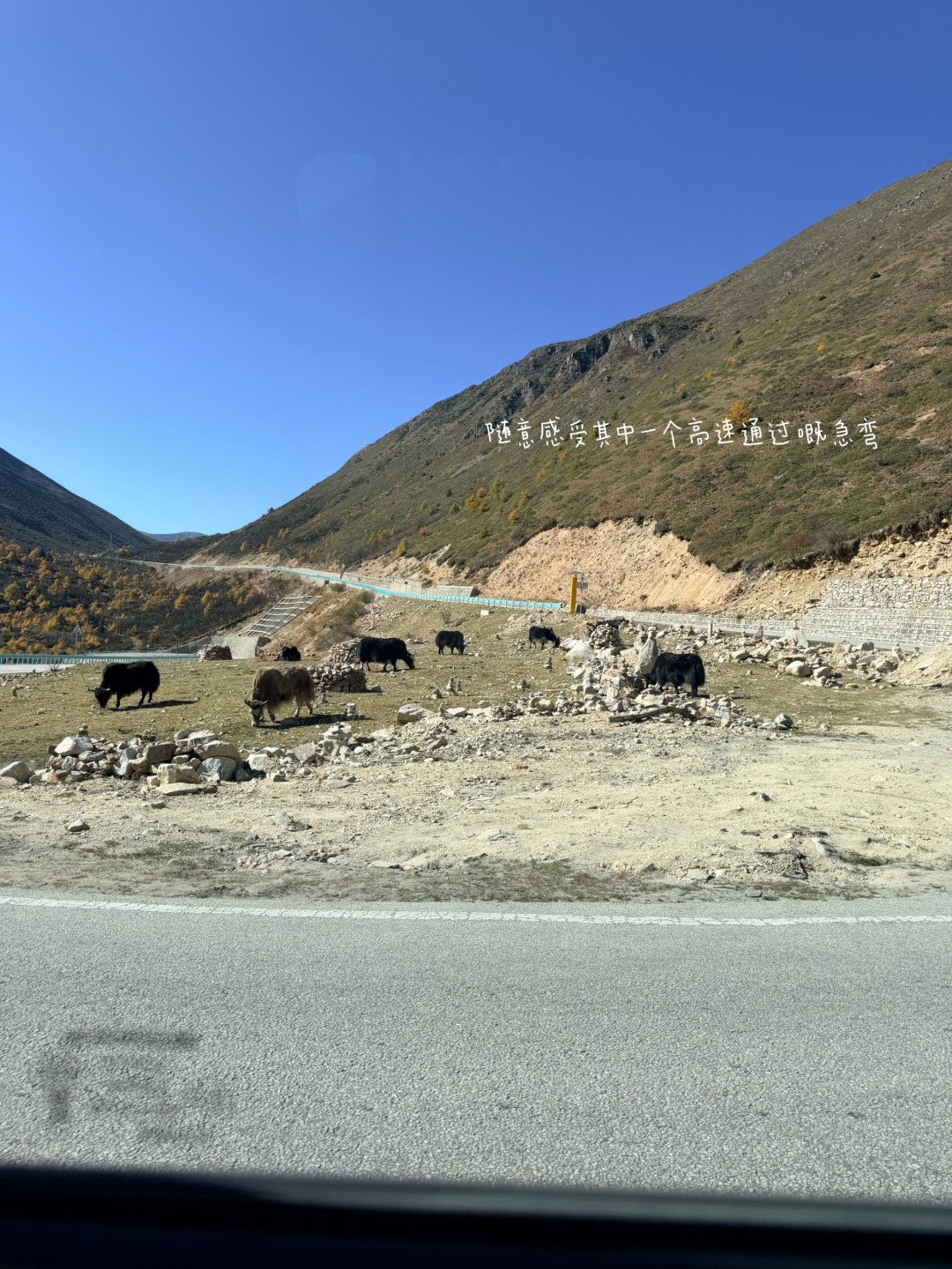 聊了一个半月,搭子消失在了乌鲁木齐机场:跟搭子出门,先过这四道筛