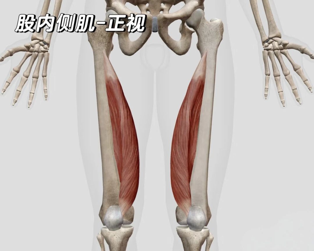 深蹲膝盖内扣不是膝的锅:40岁练腿前,先补3个臀中肌动作