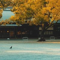 秋天血压莫名涨一截？不是药失效，可能是这3件事没跟上