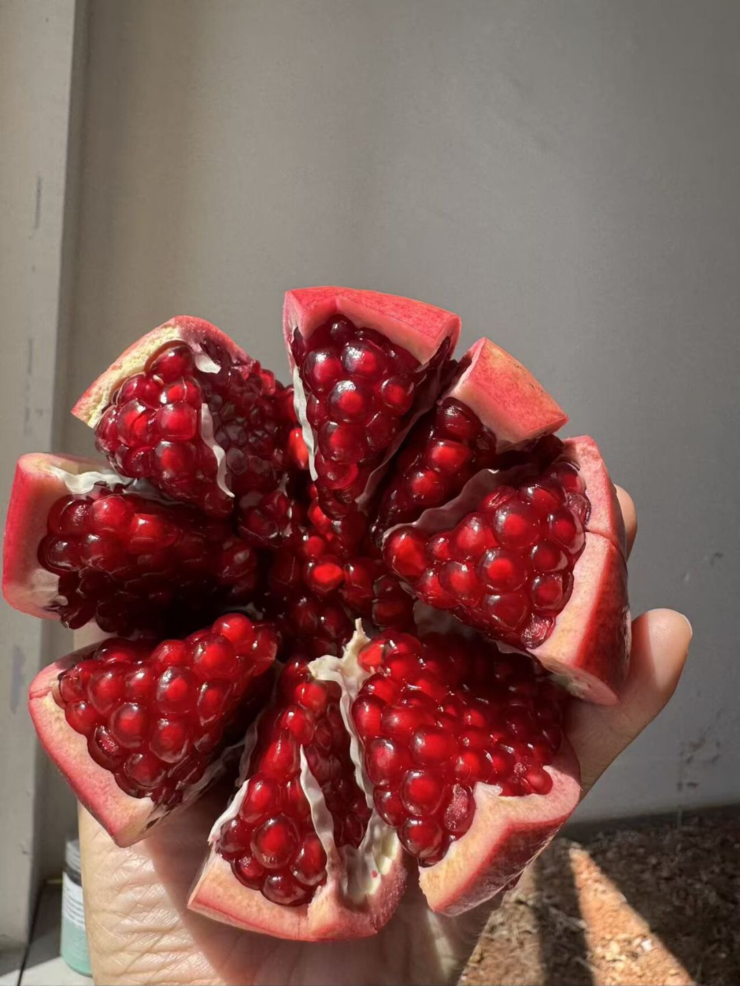 石榴摊开始