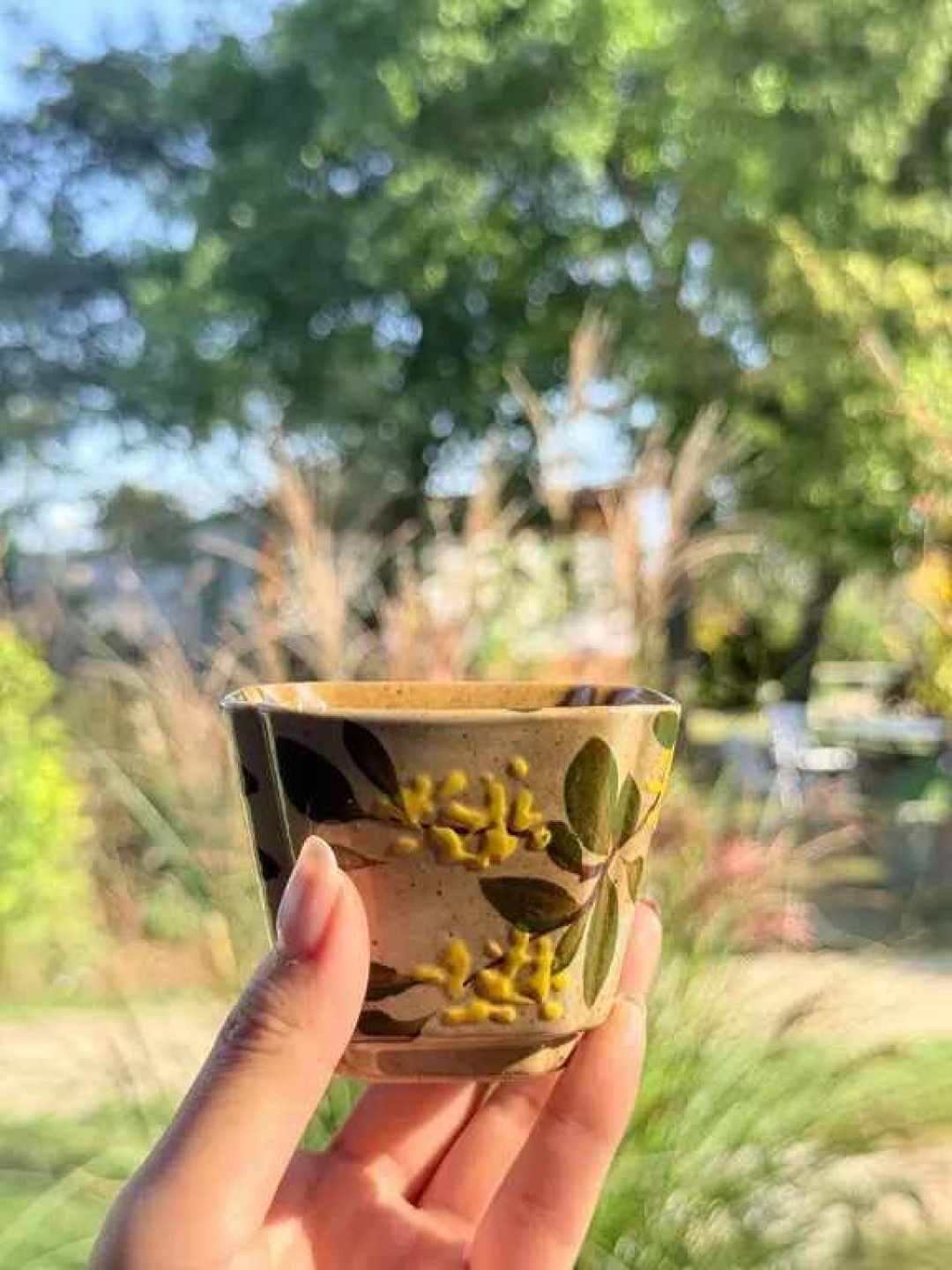 今年秋公园喝茶火了,第一课先:热水是带出来的,别指望现场烧