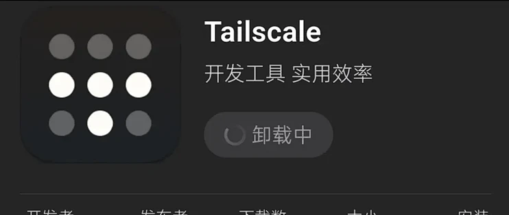 Tailscale再见！先引起DNS问题，又爆出SSH漏洞