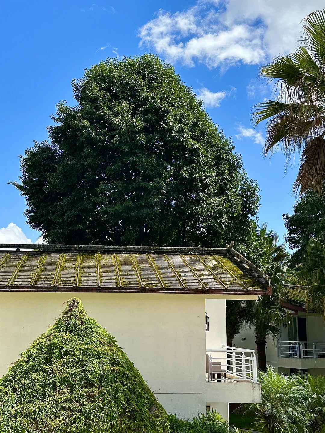腾冲秋后的温泉季来了,官房大酒店值得二刷吗?