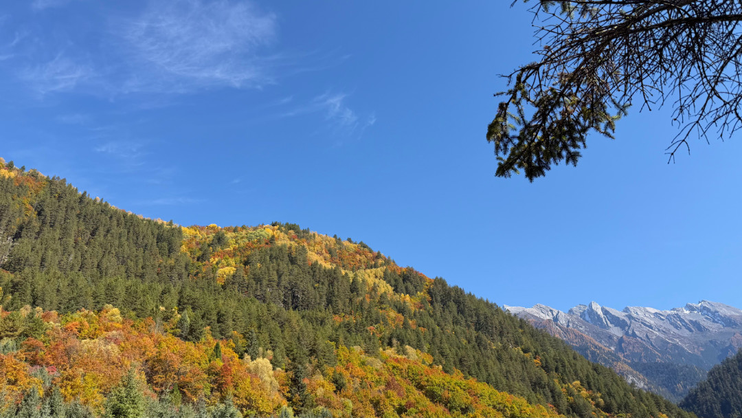 平陆的叶子红透了,栖霞山还在等:追秋别按日历,按温度