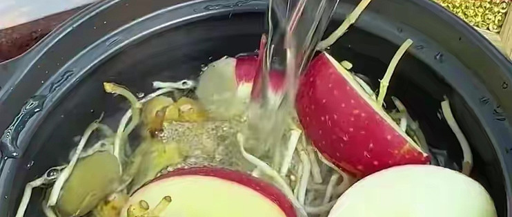 寒热虚实不同喉症食疗方案
