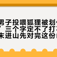 五台山男子投喂狐狸被划伤：“没破皮”三个字定不了打不打针，这周末进山先对完这份山野伤人台账