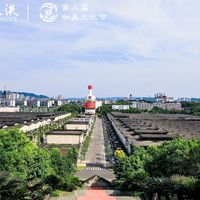 五粮液一个季度少卖69亿，利润腰斩48%：不是没人喝酒，是酒厂主动不发货了