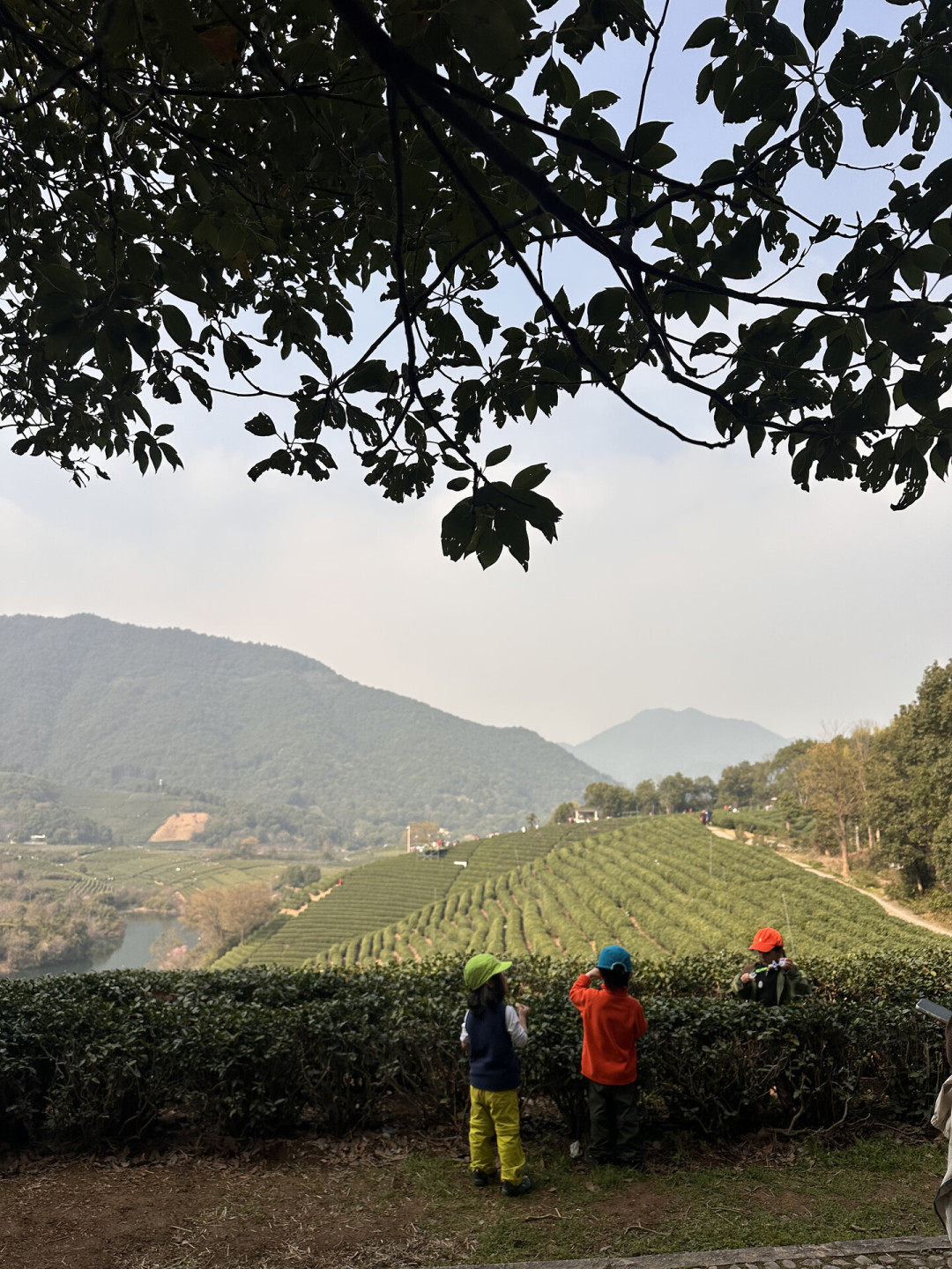 私藏遛娃地越推越多,先弄清它为什么免费
