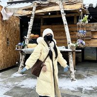 东北冻脸、烟霾缺货：这个流感季口罩怎么戴才对 | 医用口罩10.29日报
