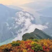 外卖点得多就要补鱼油吗？我把6款鱼油的标签读了一遍