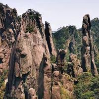 家用蛋白粉选购思路：五款产品的配方路线与适用场景