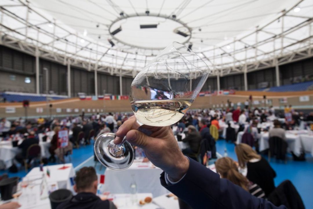 白葡萄酒跌进60元档,起泡酒进口量涨16.31%:双11买葡萄酒,先分清「自己喝」和「送人」